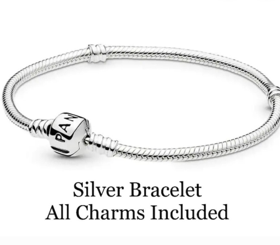 Pandora Charm Bracelet With 925 Silver Charms eBay