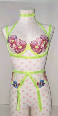 Fantasy Lingerie Embroidered Sheer Bra  Set Garter Belt Sexy Lingerie Set NWOT