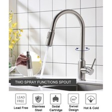 Magnolia Pull Down Single Handle Kitchen Faucet Dual Spray - Stainless Steel