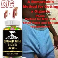 Gomma Shilajit Himalayana 100% pura biologica, Ashwagandha Boost Energy 60 conteggi
