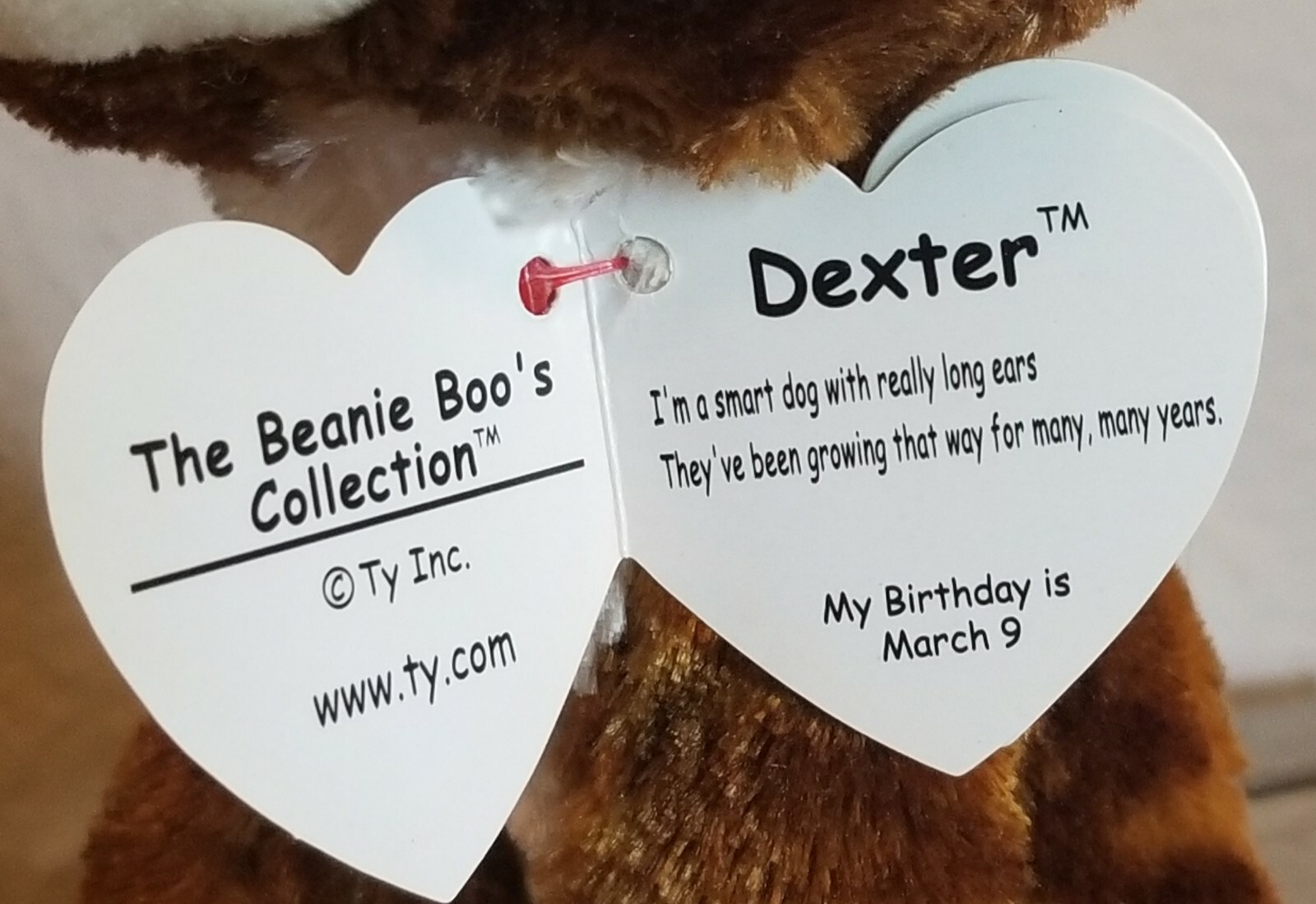 dexter beanie boo birthday