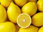 Lemon Fresh Fragrance Oil Candle/Soap Making Supplies *Free Shipping *