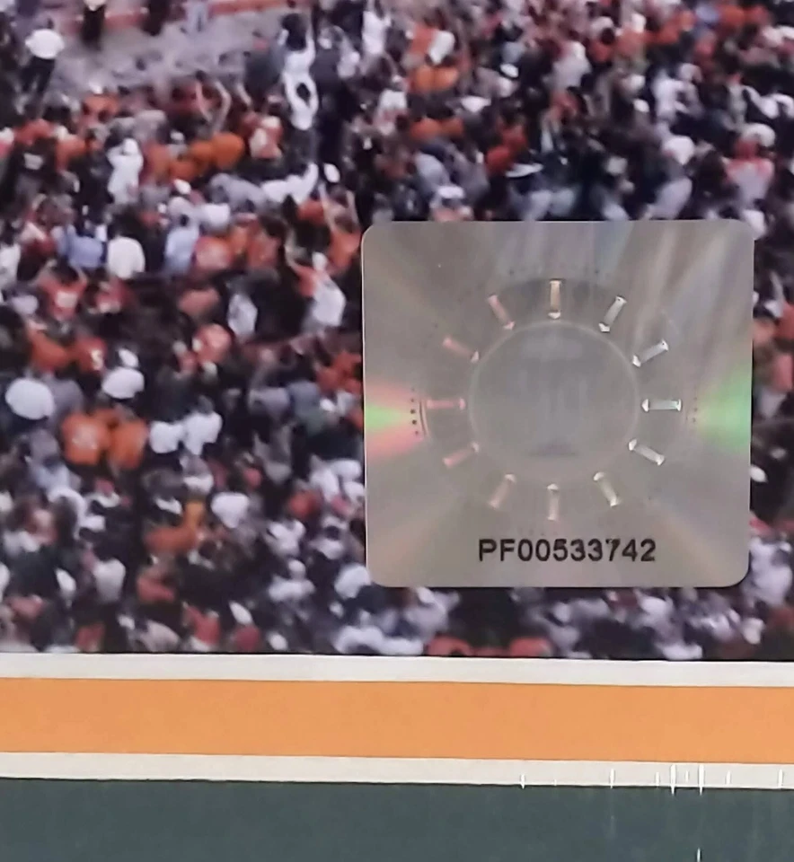 Tablero de espuma Miami Hurricanes hecho a medida doble mate 16x20 tributo incluido 2008 Foto 4 de 4