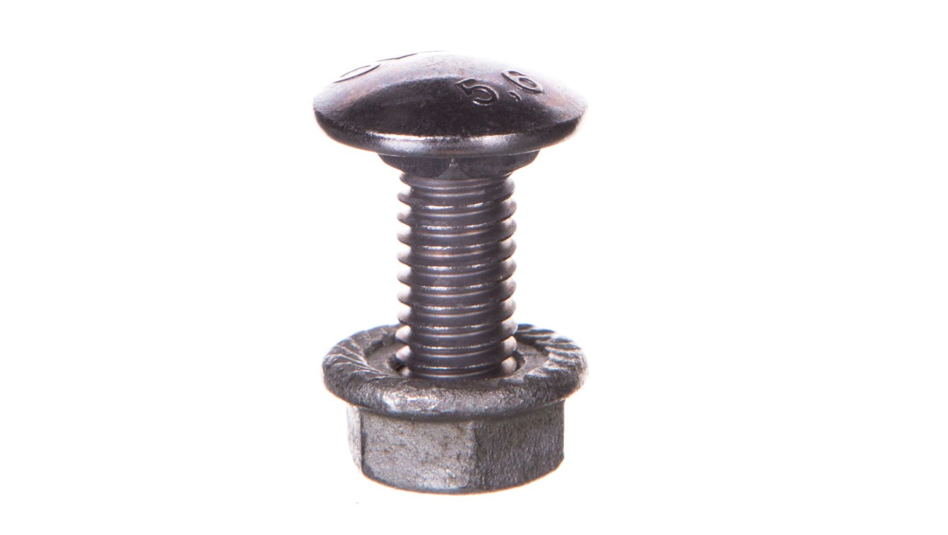 Mushroom Bolt with Nut M6x15 FRSB 6X15 F 6406157/100pcs KTS