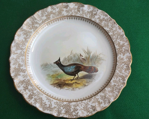 Antique Royal Worcester Vitreous Game Bird Plate Hand-Painted Gold Trim 9" See D - Picture 1 of 10