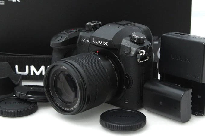 Panasonic Lumix Dc-Gh5M Standard Zoom Lens Kit H852-2O3