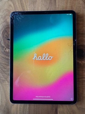 Apple iPad Pro 1. Gen 256GB, Wi-Fi, 11 Zoll - Space Grau - mit defektem Display