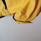 Bild 4 von 10