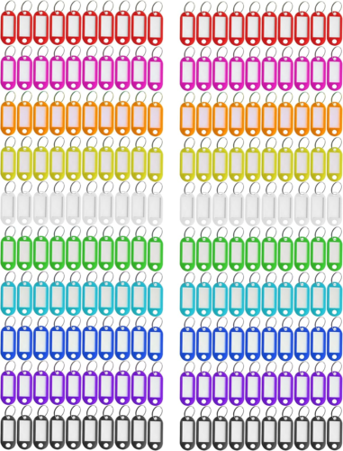 Assorted Color Key Tags with Label Window - 200 Plastic ID Tags & Rings