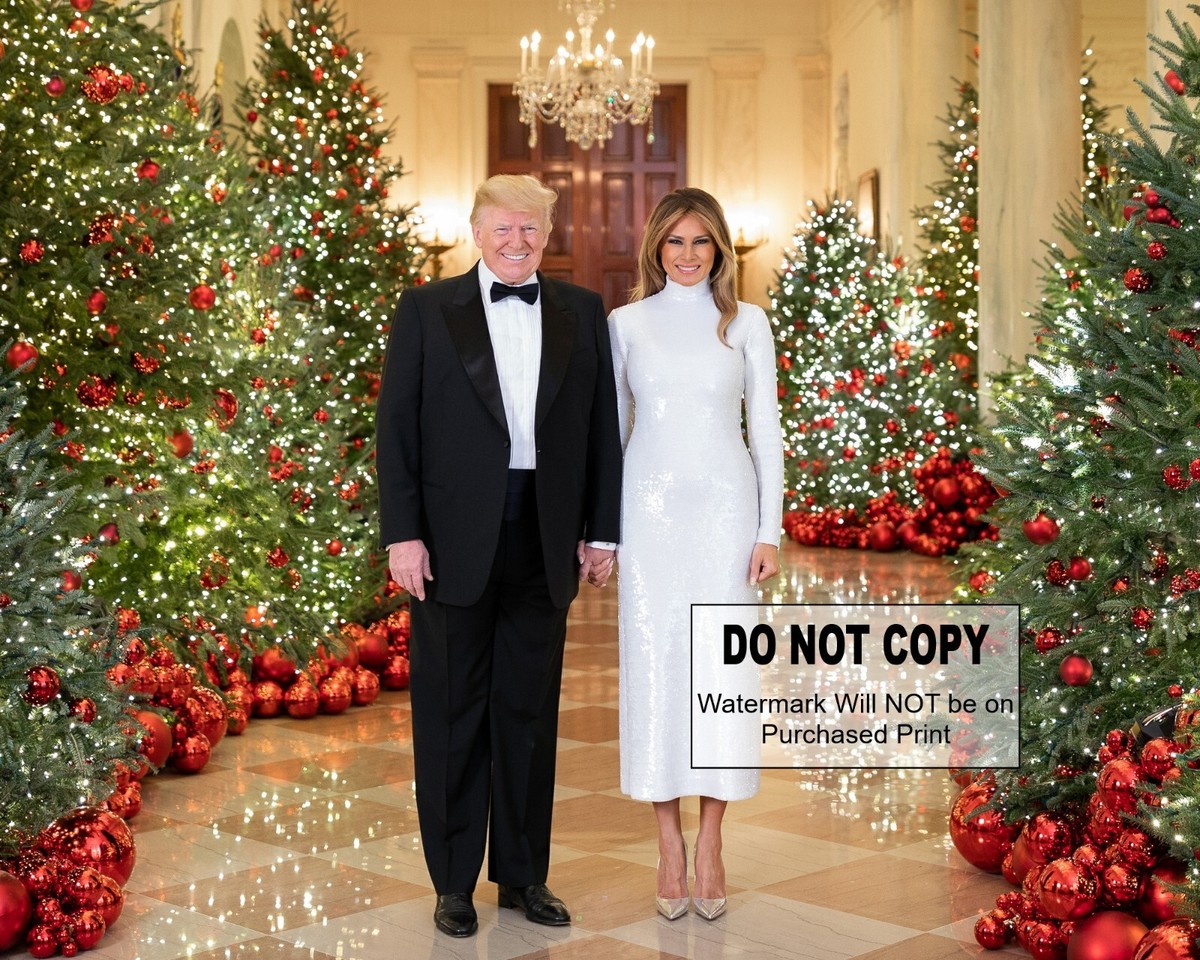 PRESIDENT DONALD TRUMP & MELANIA CHRISTMAS PORTRAIT Zoomed - 8X10