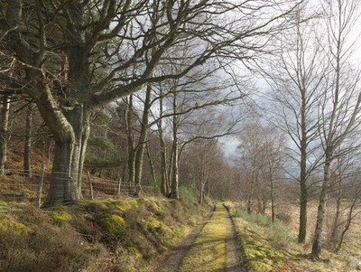 Foto 6x4 Gleis nach Pitlundie Kilmuir\/NH6749 Die Hauptfahrt nach Pitlundie c2017
