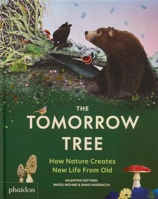 Maciej Michno Danio Miserocchi The Tomorrow Tree (Hardback)