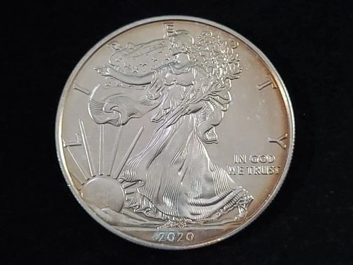 2020 American Silver Eagle 1ounce .999 Fine Silver Dollar NICE!