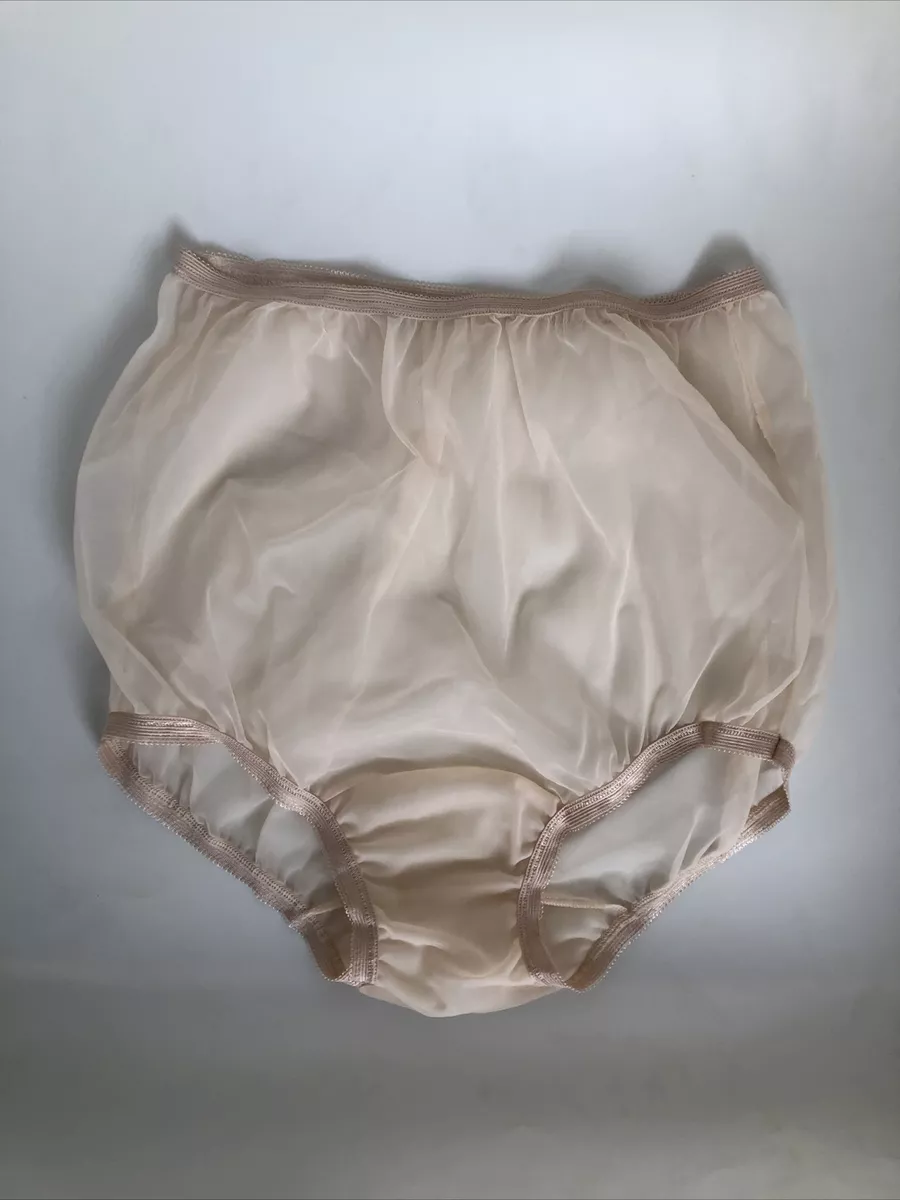 Size L Full Cut Sheer Panty Brief by Secrets In Lace 4004 Beige Nylon