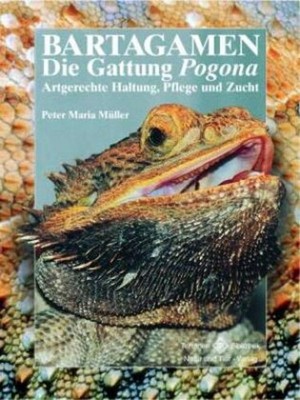 Bartagamen Peter Maria Müller