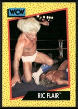 1991 Impel WCW #41 Ric Flair HOF