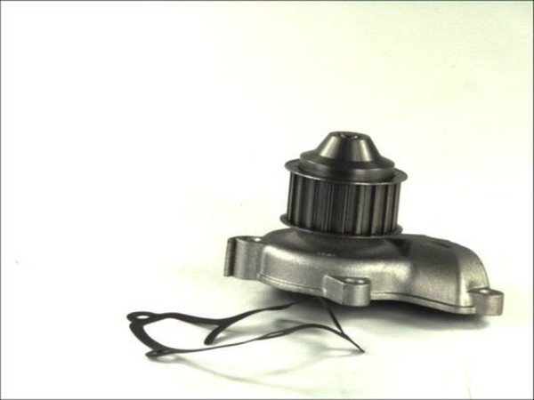 Wasserpumpe MotorküHlung FüR Nissan Sunny I II Hatchback Traveller III-image