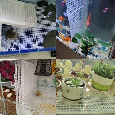 egg box for fish tank 6 Pcs Aquarium Divider Plastic Crate Aquarium Filter Bottom Tray Grid Isolation Board Partition Net Pane Separator Mixed Breeding Light Diffuser,8 Pcs Sucker Clips Suction Cups,Black peaceful aquatic environments with Bubble Magus Aquarium Dividers. In-Tank Fish Breeder Box: Fry