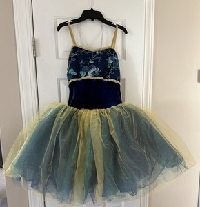 Adult Large Blue Gold Multi Layered Tutu Embellished Ballet Pointe Dance Costume