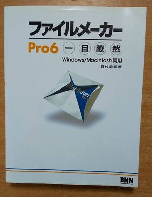 wa File Maker Pro6 Easy To See