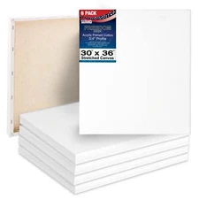 6 Pack of US Art Supply 30" x 36" Acrylic Primed Cotton Duck Stretched Canvas