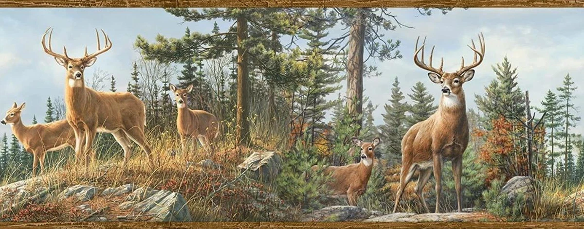 Cool Deer Backgrounds