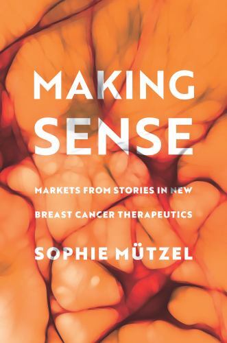 Culture and Economic Life Ser.: Making Sense : Markets from Stories in New ...