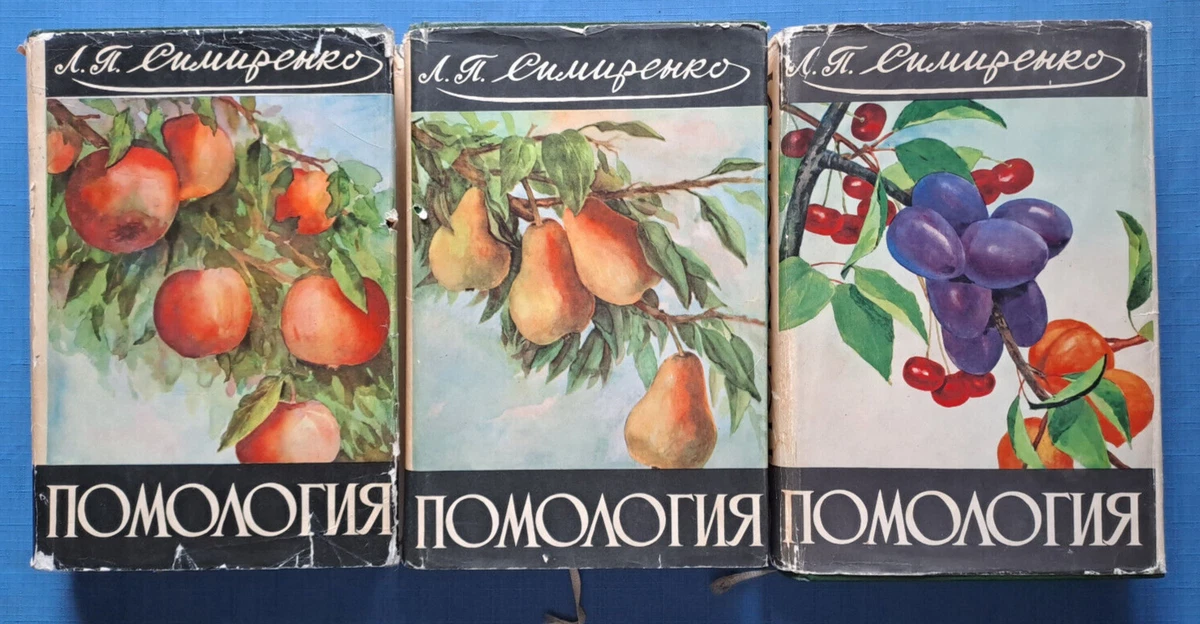 1961-1963 Pomology Apple Pear Bone Simirenko Set Of 3 Ukrainian.