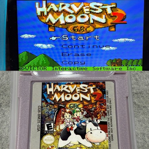 🔥 NEW Game Boy Color Harvest Moon 2 Nintendo GB GBC GBA SAVES TESTED 2025 Mfg.