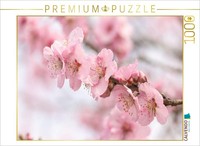 Calvendo Puzzle Blossoms | 1000 Pieces, Finished Size 25.2 × 18.9 In (64 × 48 Cm