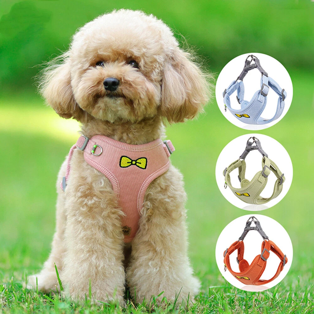 Dog Harness and Leash Set for Dogs Breathable Puppy Cats Harness Soft Warm Vest