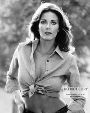 ACTRESS LYNDA CARTER PIN UP - 8X10 PUBLICITY PHOTO (OP-126)