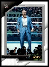 2022 PANINI WWE NXT WRESTLING CARD TRIPLE H #100 5309