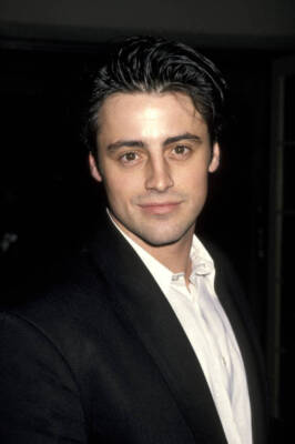 Matt LeBlanc at NBC's Winter Press Tour All-Star Reception at - 1994 Old Photo