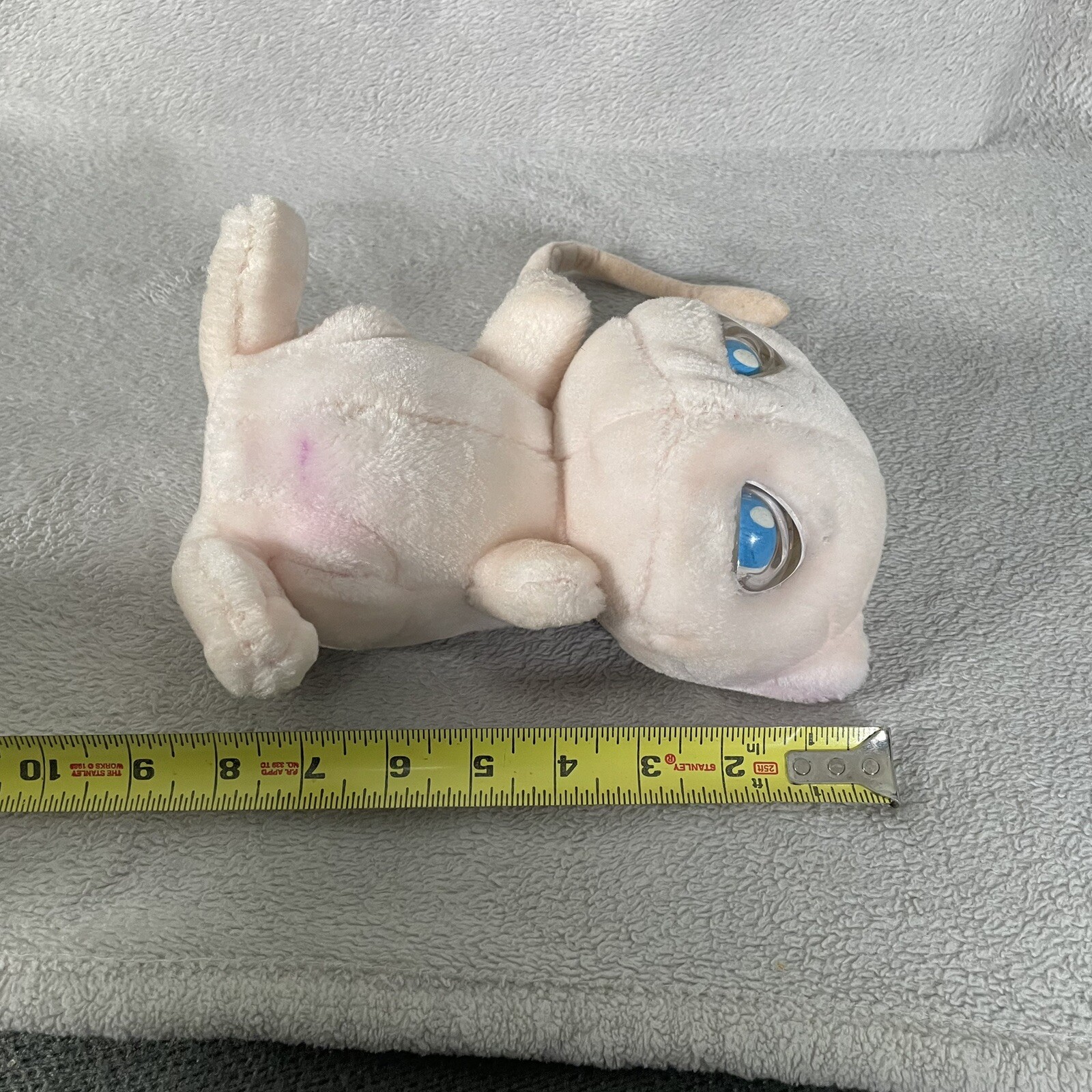 Picture 17 of 17