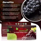 2 pcks Phytoscience Double Stem Cell Anti Aging Supplement - !