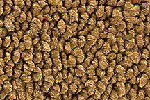 1968-1970 Dodge Coronet Molded Carpet Kit 4 Speed Choose Color 80/20 Loop ACC - Picture 9 of 14