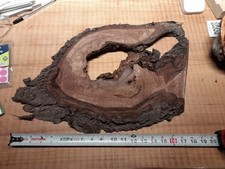 1 Inch Thick Walnut Burl Slice