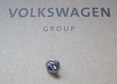 VW Transporter T5 T6 CARAVELLE / SHUTTLE - 1 interior handle surround trim screw
