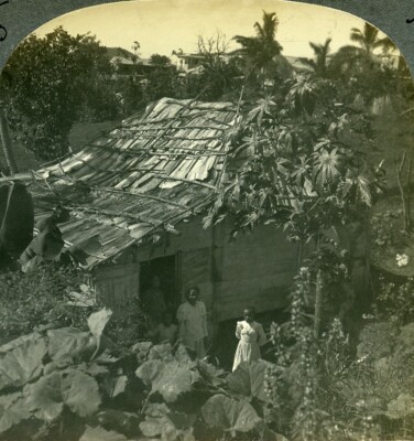 Puerto Rico Hütte im Dschungel bei Byamas Old Keystone View Stereoview Photo 1900