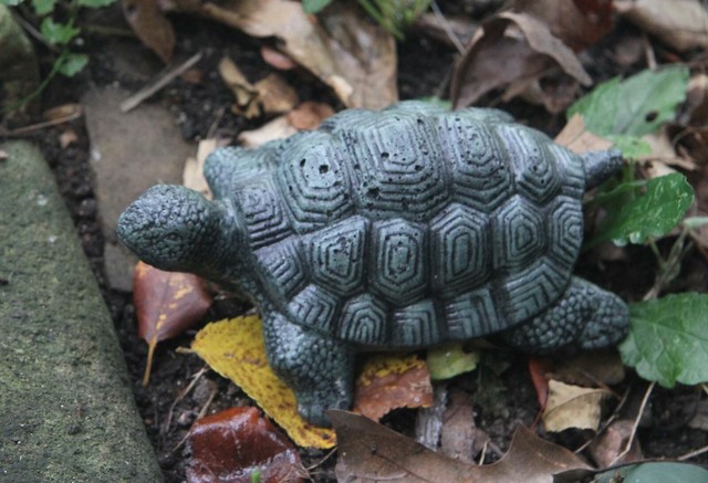 Cement Turtle Garden Art Concrete Statue -7" x 4"x 3" ~ USA for sale online