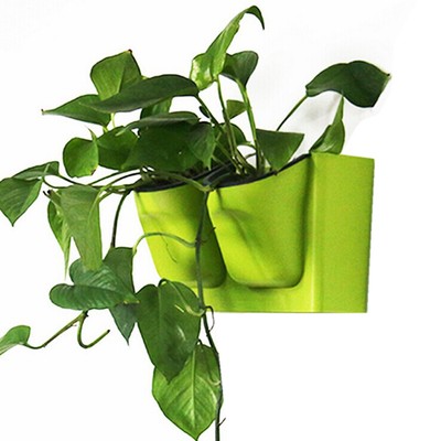  Plants Water Feeder Community Garden Planter Compact Design