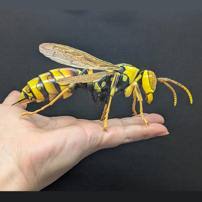 Bandai Gashapon Paper Wasp Advanced Figure with Display Base Hornet Japan Seller
