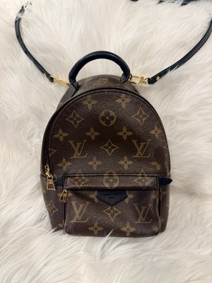 Louis Vuitton Palm Springs Mini Backpack