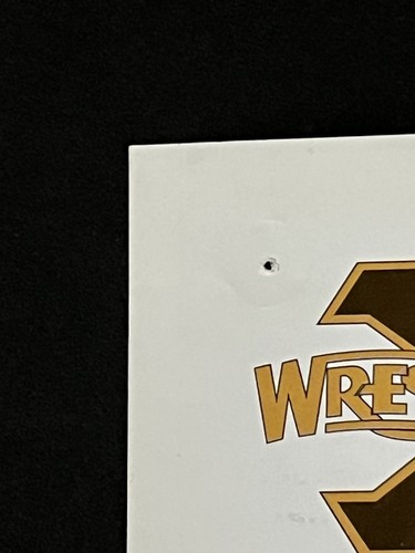 WWF/WWE ORIGINAL POSTER - VINTAGE ORIGINAL WRESTLEMANIA X TICKET ORDER FORM *WWF - Picture 10 of 22