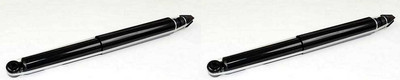 Stoßdämpfer X2 Hinten Ford E150 2008 - 2011 / E250-E350 1992 - 2011