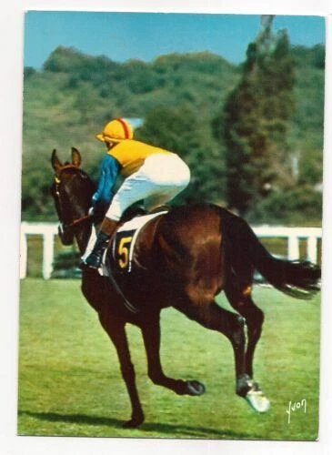 Cartes postales de collection sur le sport