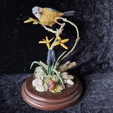 Lovely Rare Vintage Country Artists Bird Figurine Spring Bluetit CA326