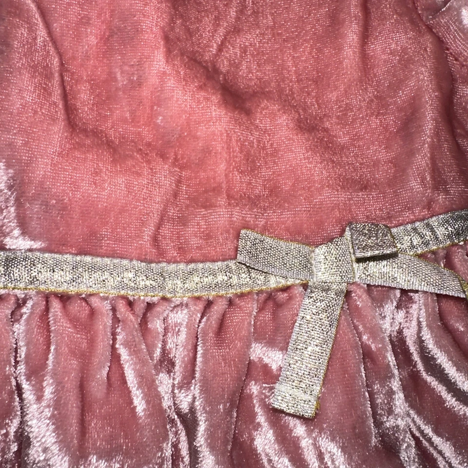 Vestido GAP Niños Rosa Algodón Terciopelo 12-18mo Banda Dorada Botón Espalda Forrado con Ropa Interior Foto 4 de 4