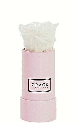 Ewige weiße Rose Grace Flowerbox Bambi PURE WHITE natürliche Blume langlebig.